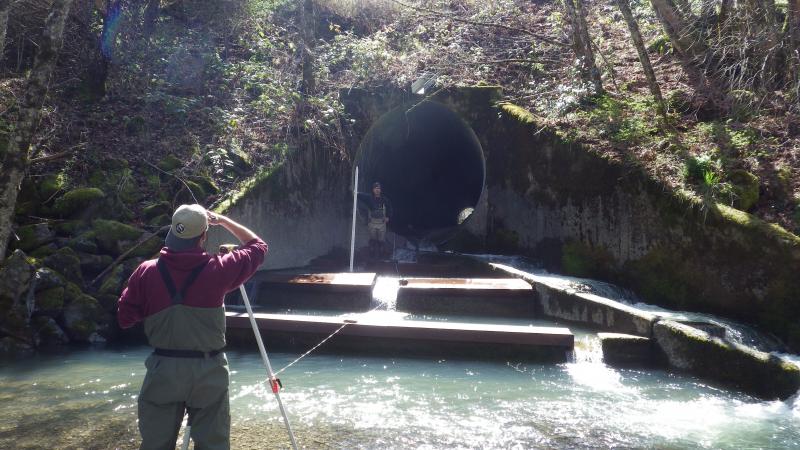 Person standing in water coming out of drain