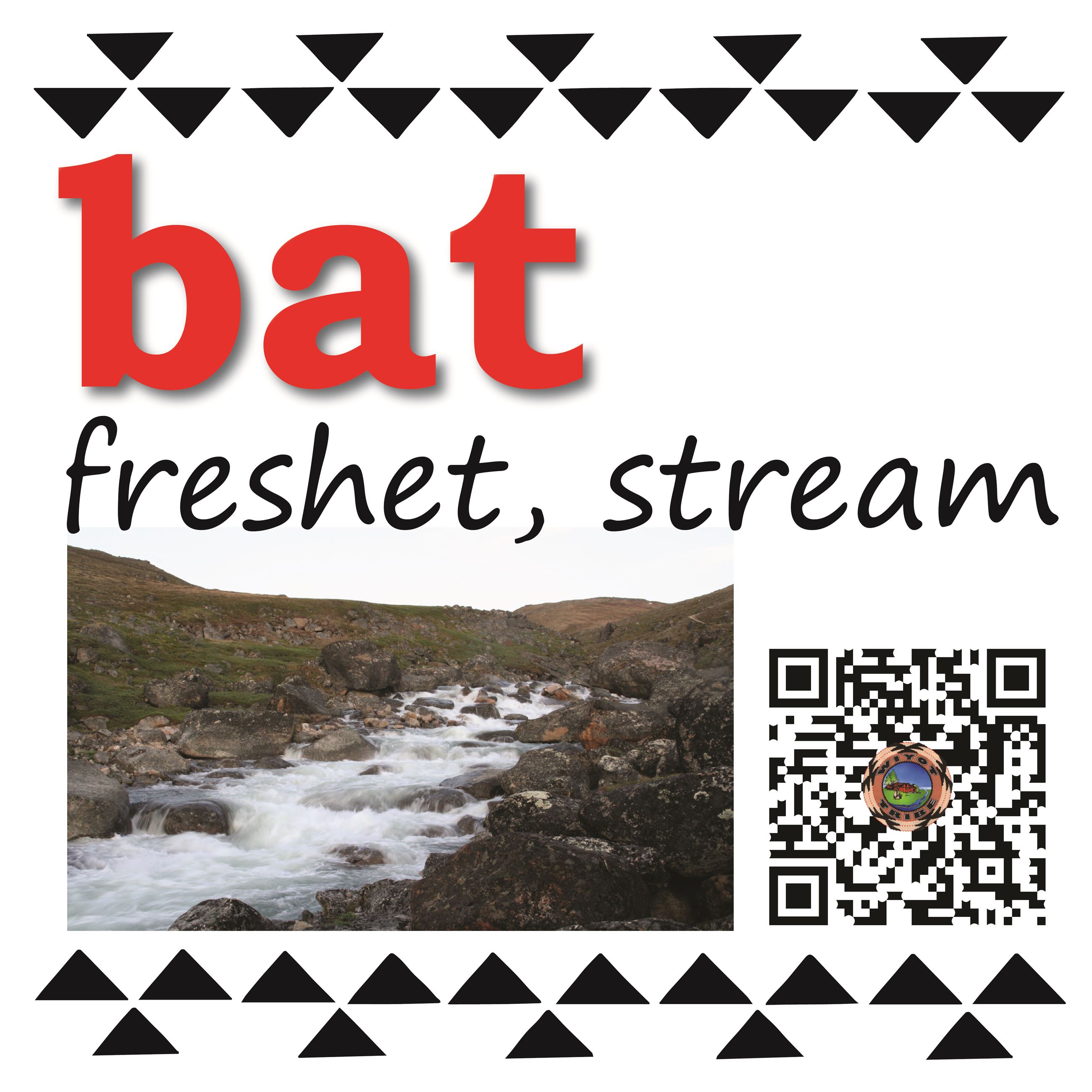 bat (freshet, stream)