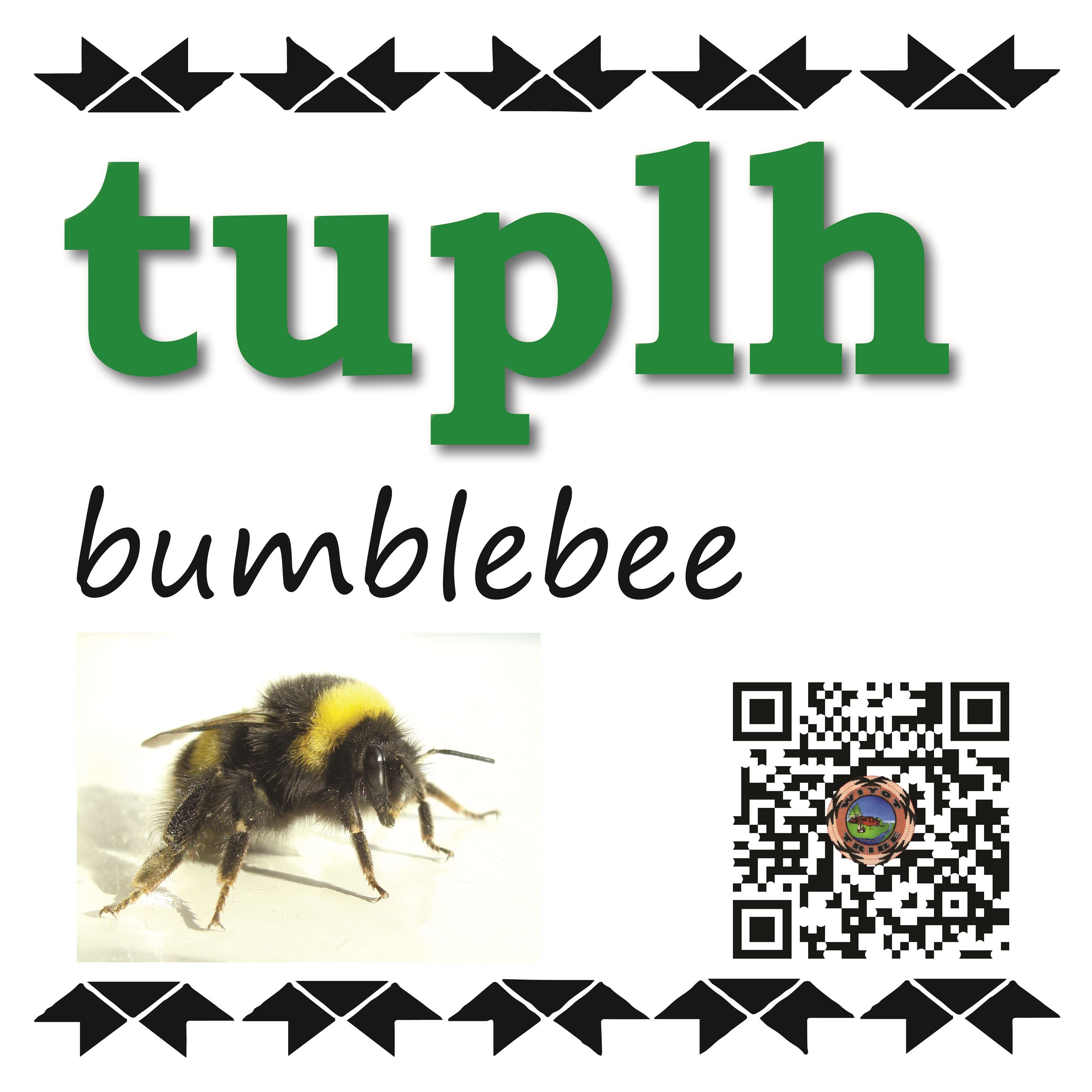 tuplh (bumblebee)