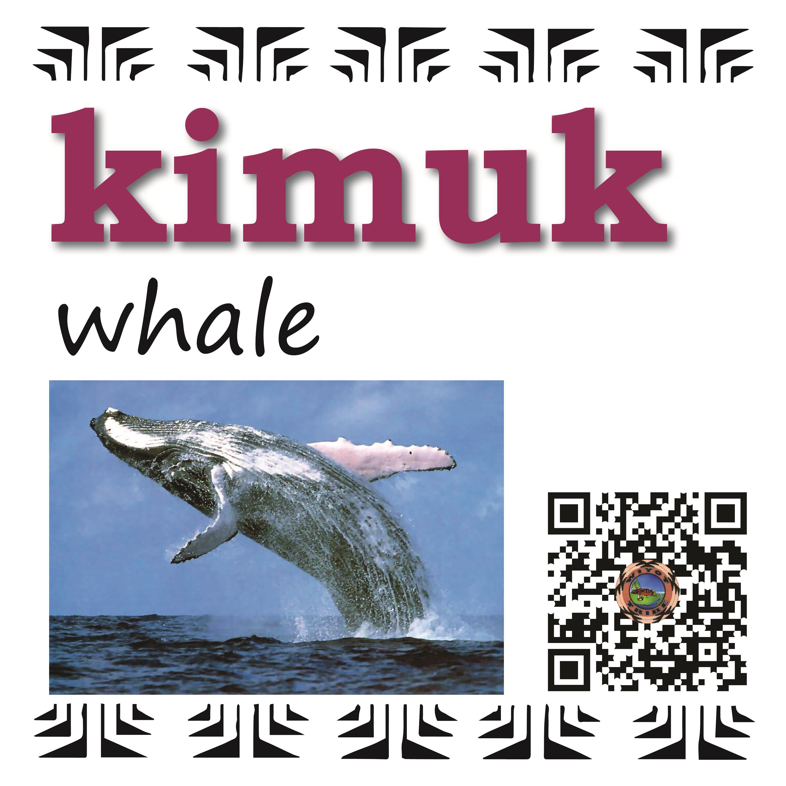 kimuk (whale)