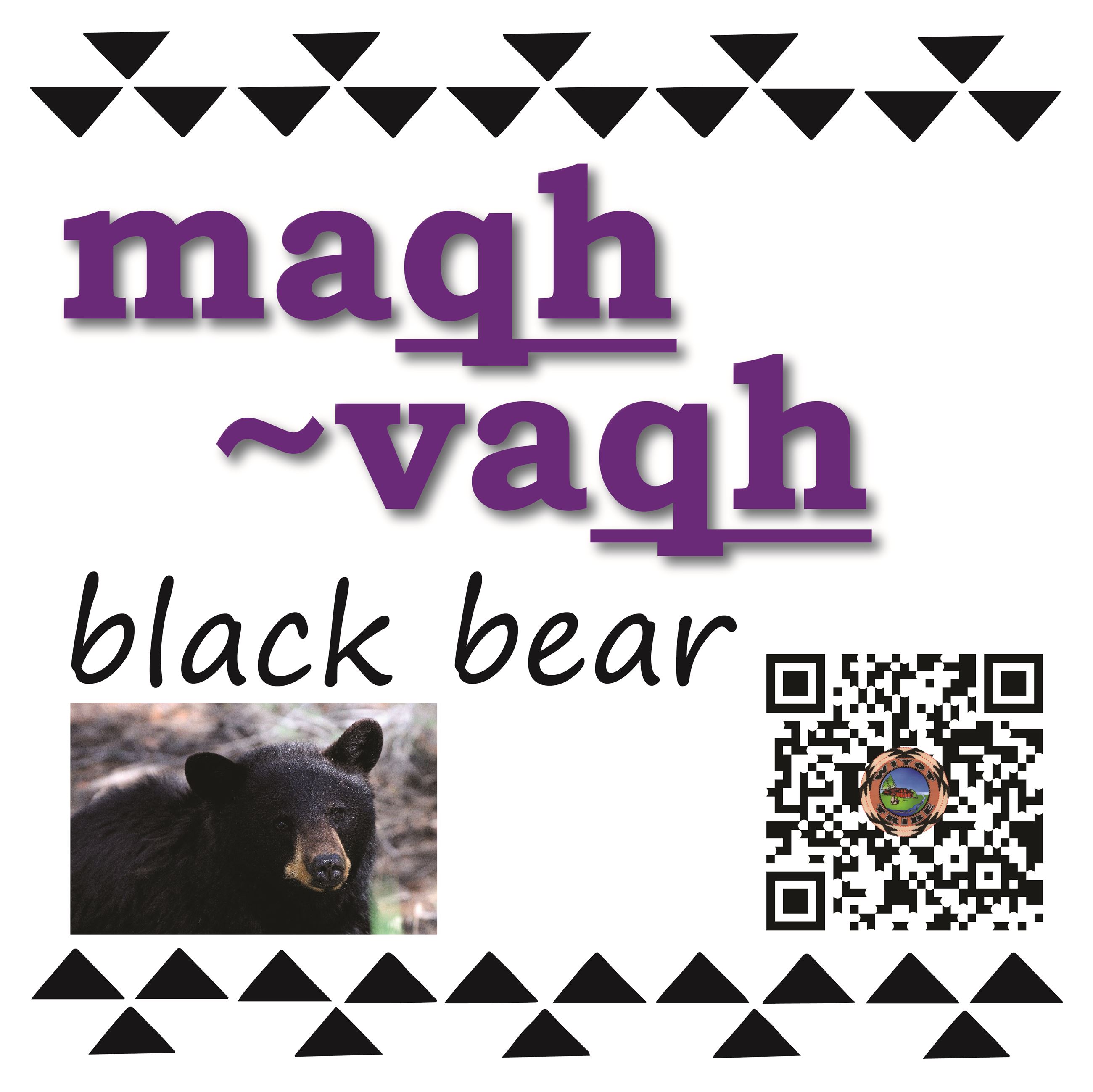 maqh/vaqh