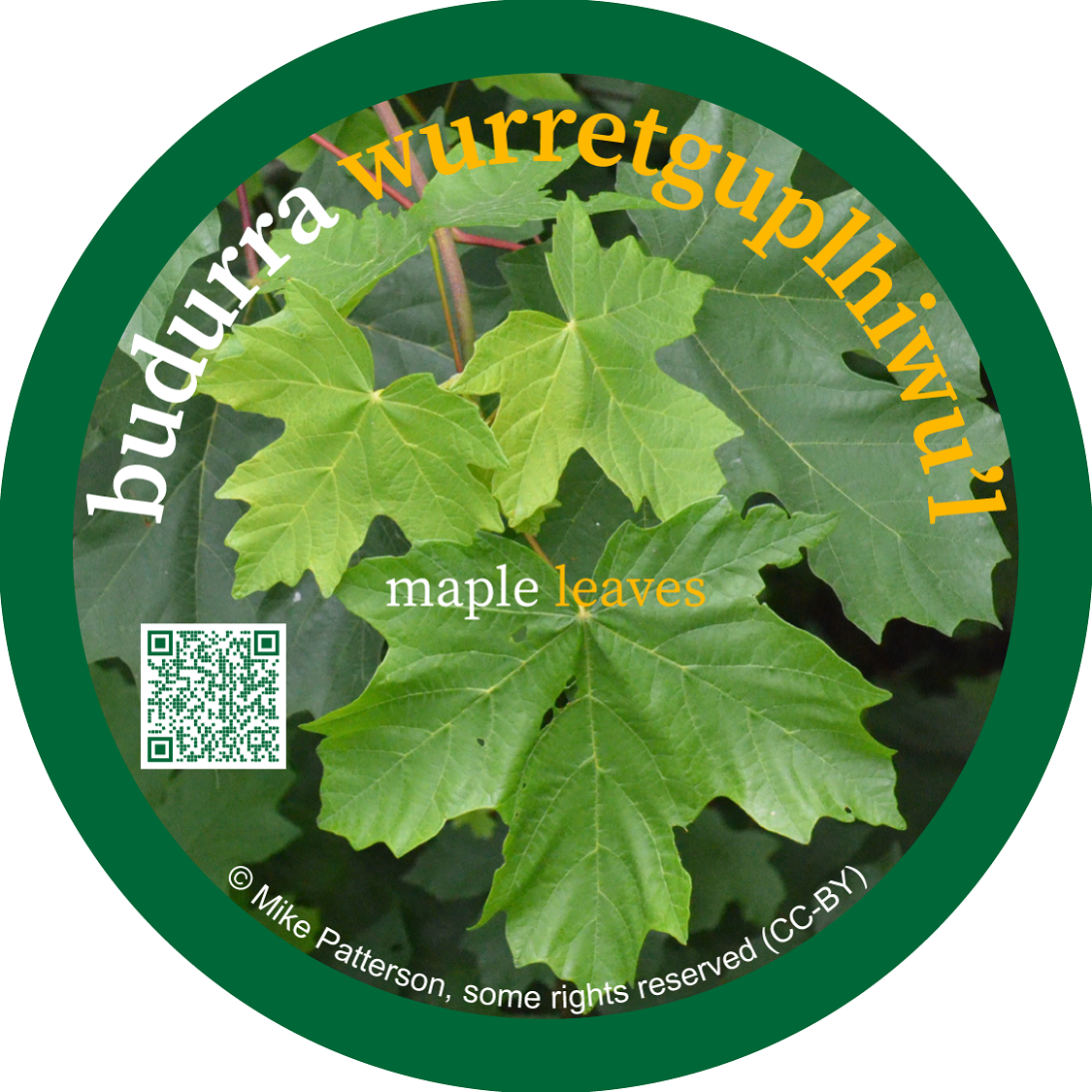 budurra_wurretguplhiwul