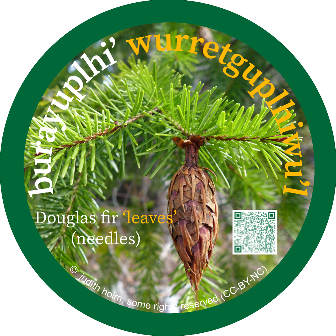 burayuplhi_wurretguplhiwul