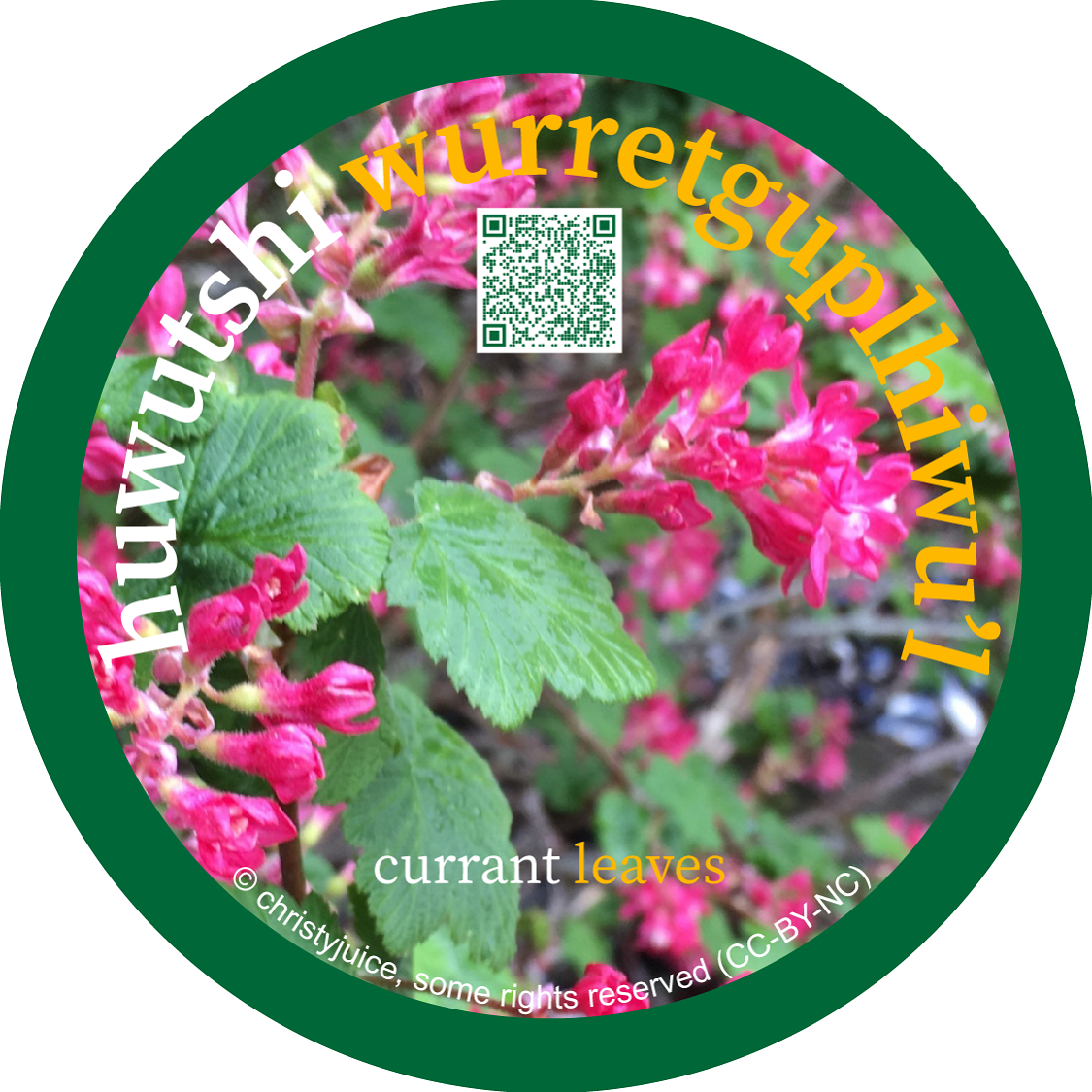 huwutshi_wurretguplhiwul