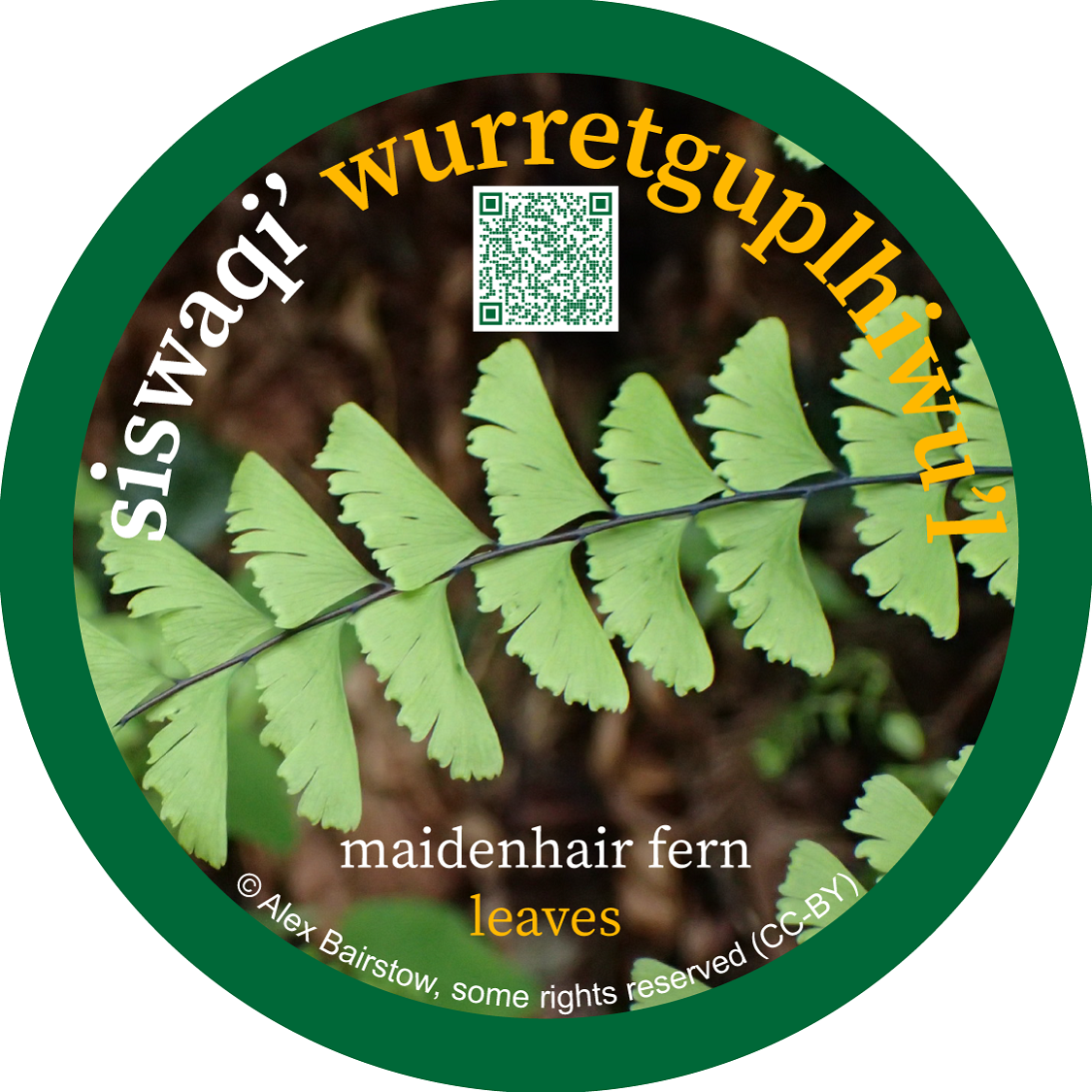 siswaqi_wurretguplhiwul