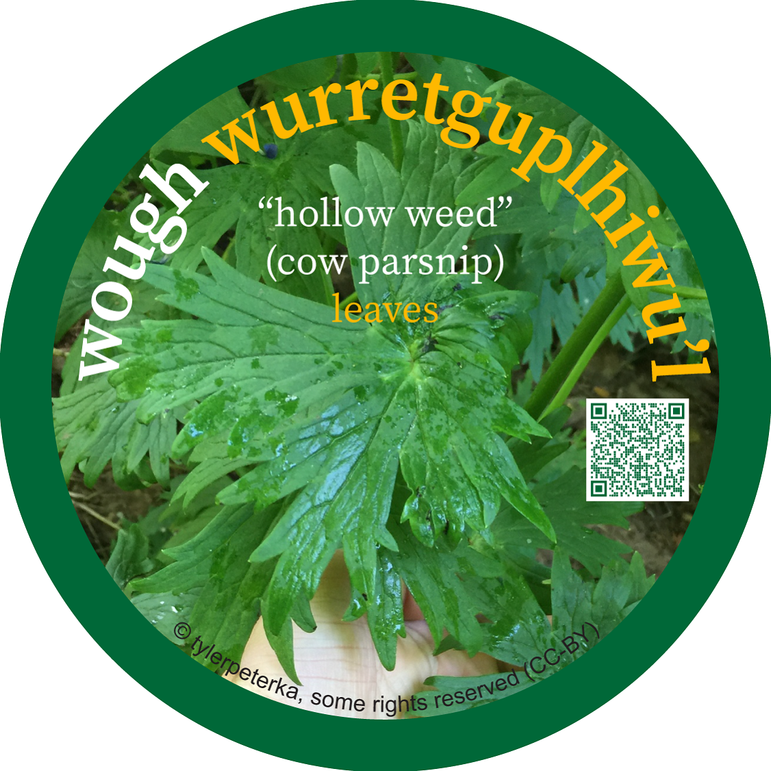 wough_wurretguplhiwul