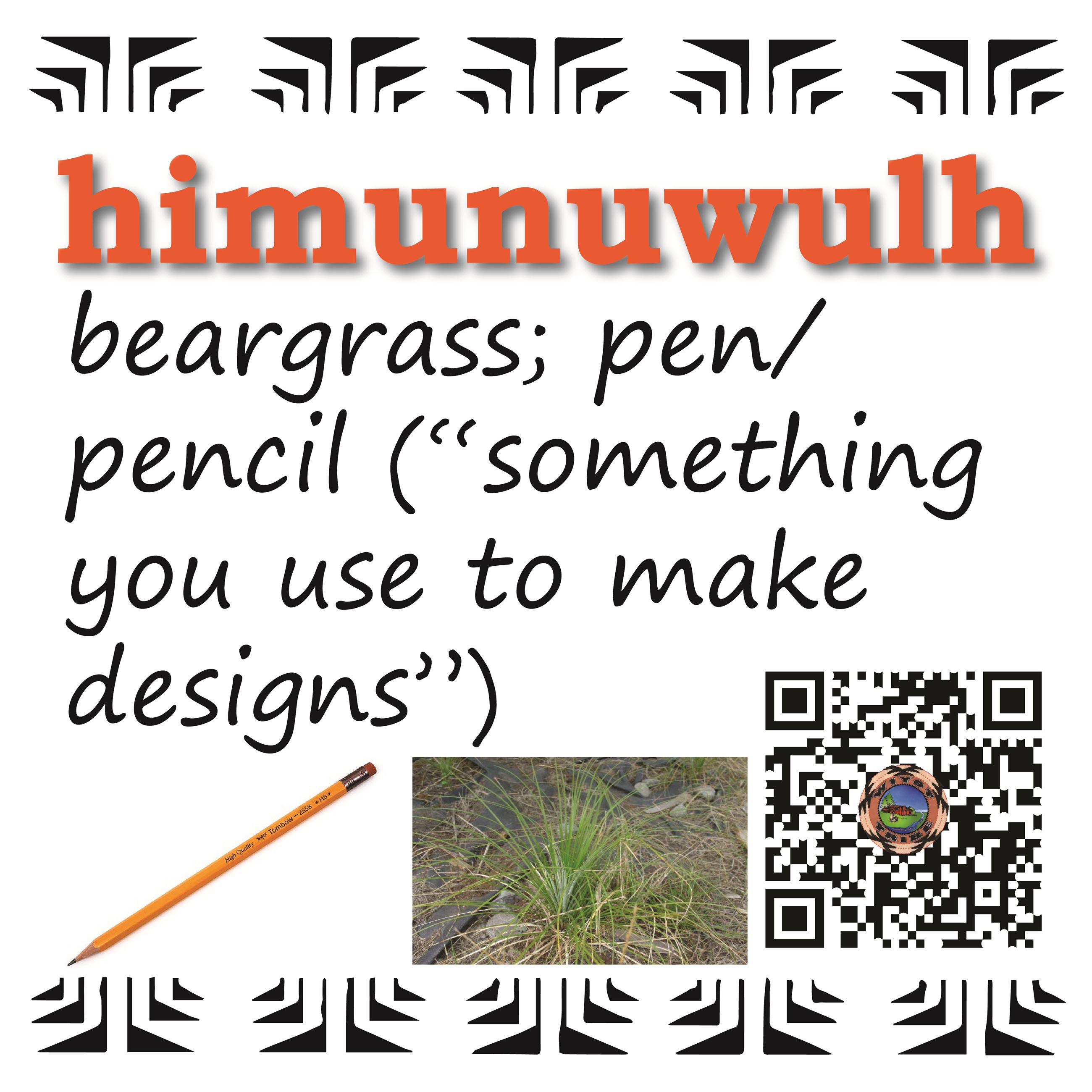 himunuwulh_beargrass_pen_pencil