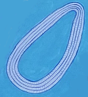 rruni_boutousouy_dentalia_string_hebalo