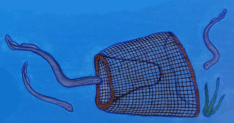 goudaw_yaw_dadulh_eel_eel_basket_eelgrass_hebalo