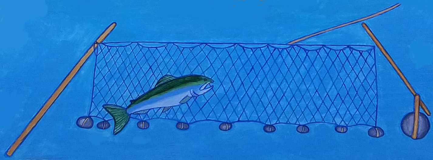 shaghaduw_gatbugh_gillnet_net_weight_hebalo