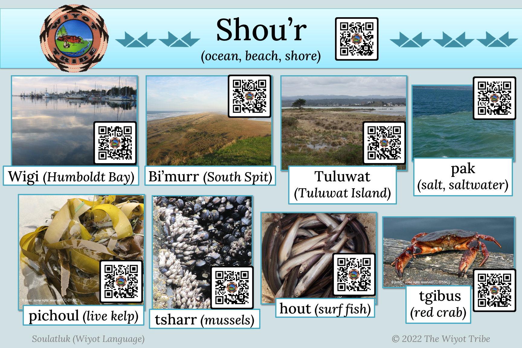 Language_mini-posters_2022_12x18_shou7r_ocean Opens in new window