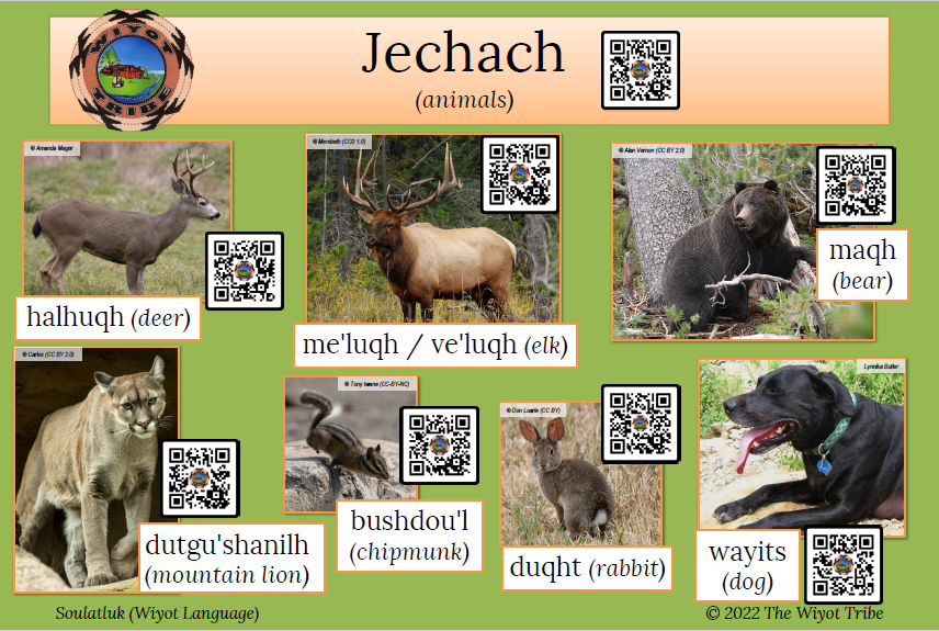jechach-1 Opens in new window
