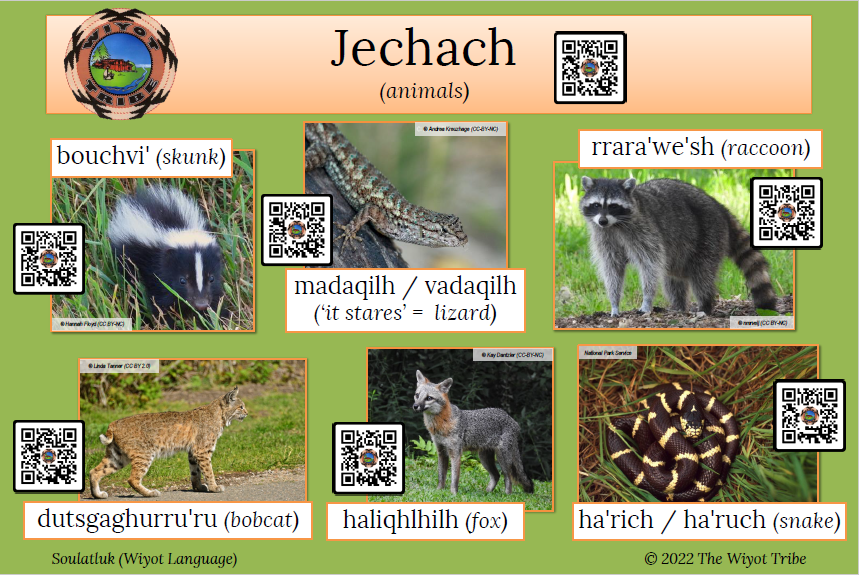 jechach-2 Opens in new window